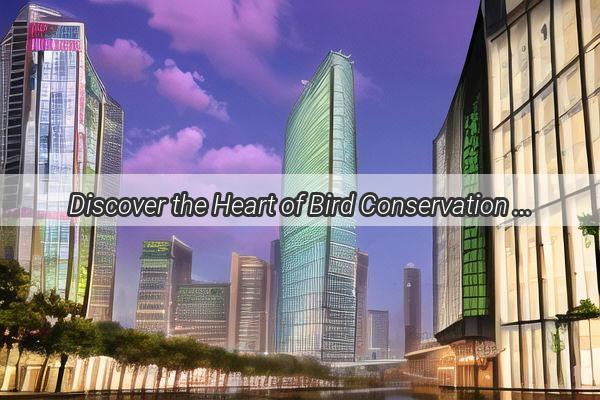 Discover the Heart of Bird Conservation in Guangzhou A Journey to the Chinese Bird Conservation Foundation